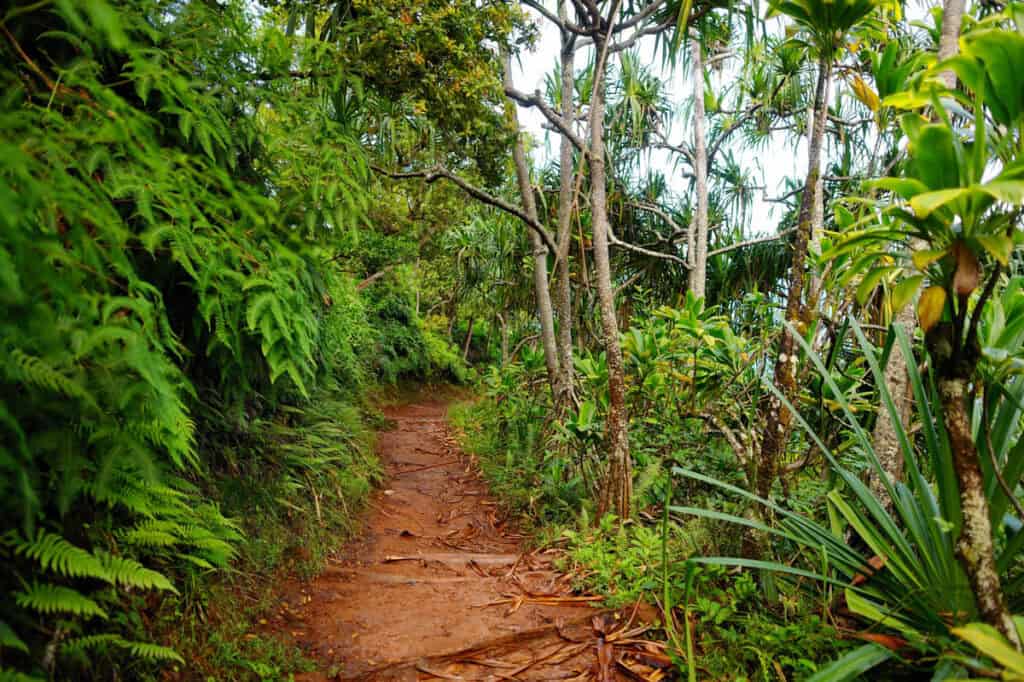 Kalalau Trail in Kauai, Hawaii